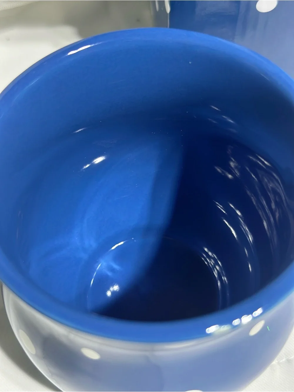 Temp-Tations Blue and White Polka Dot Ceramic Mug